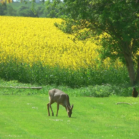 Haus Im Felde Сasa de vacaciones