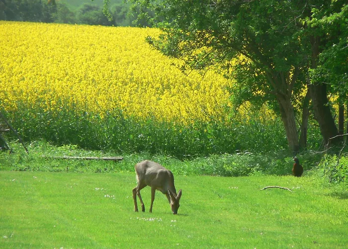 Haus Im Felde Semesterbostad